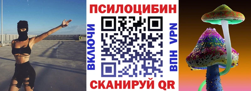 где можно купить наркотик  Жуковка  Галлюциногенные грибы мицелий 
